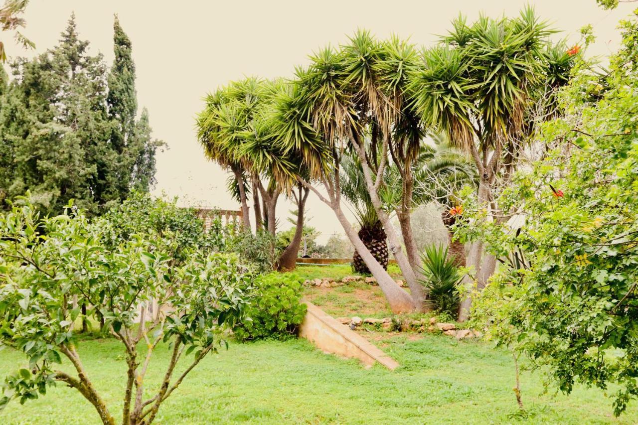 Finca Randa, Llucmayor, Bis 3 Sz, Pool, Garten Llucmajor  Exterior foto
